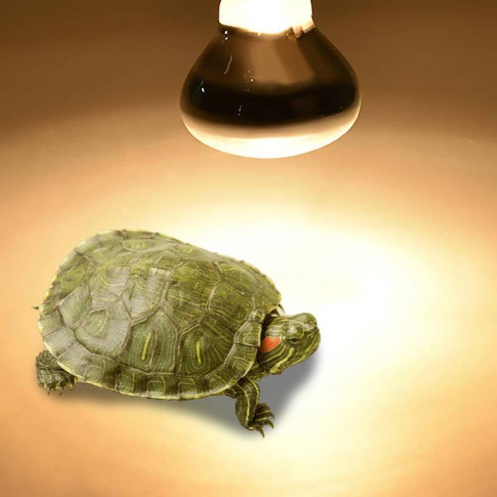 Lizard Heater Heat Lamp UVA Li - Basking Bulb Halogen 评论和价格