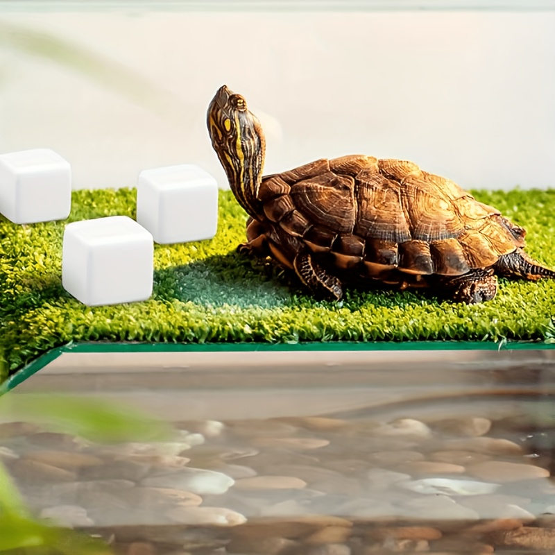 6Pcs For Reptile Grinding Tort - Calcium Powder Reptile 评论和价格