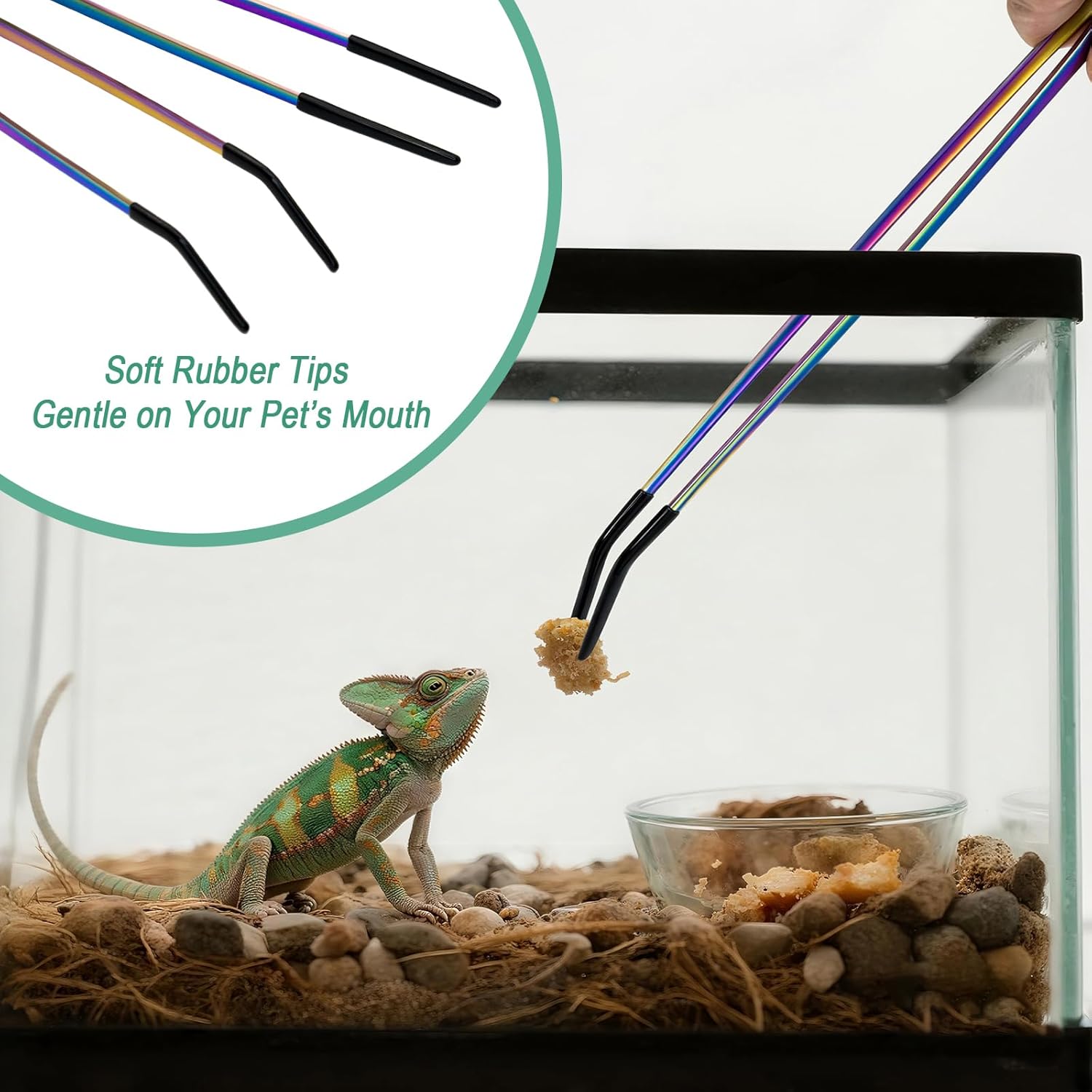 2PCS Stainless Steel Reptile F - Feeding Tong Stainless 评论和价格