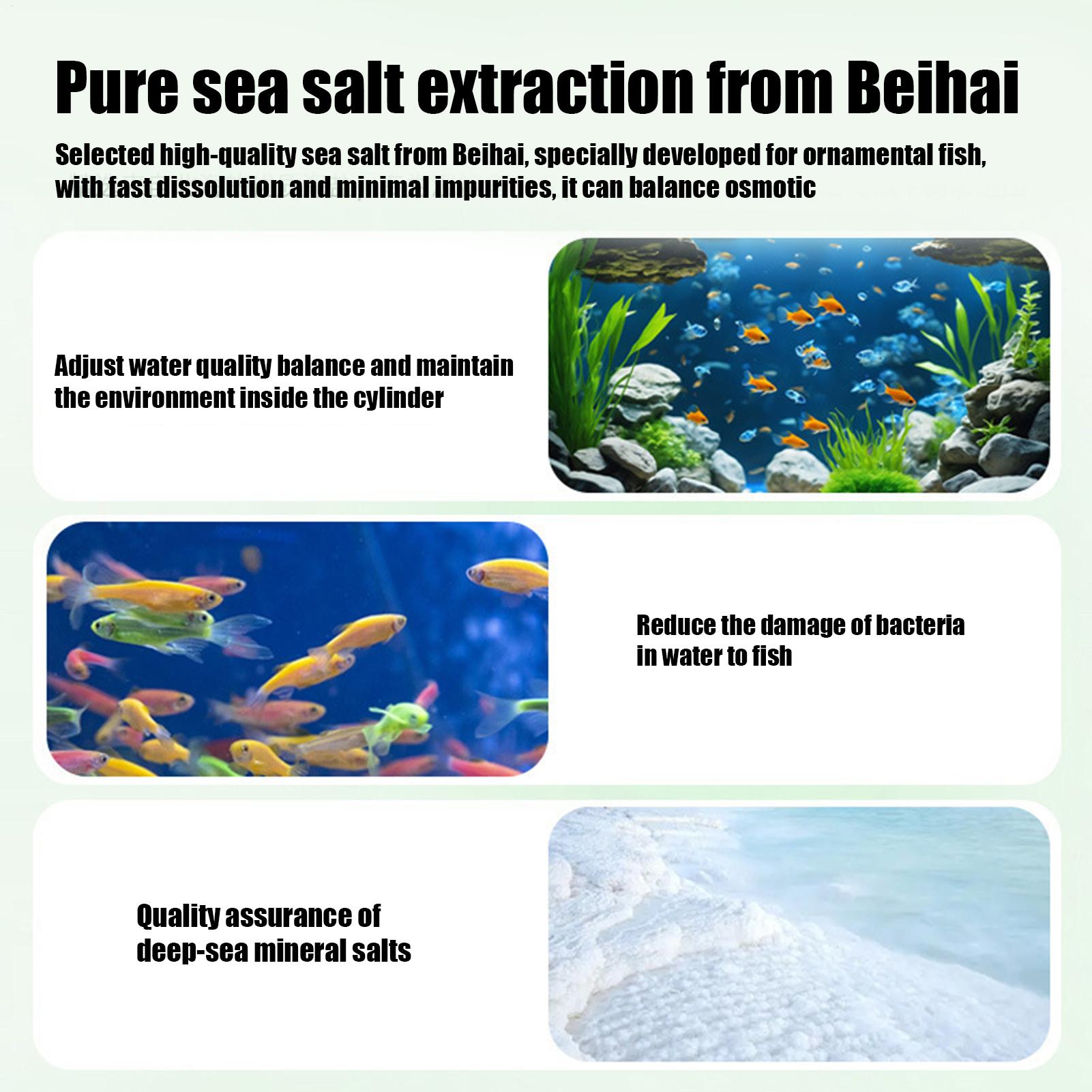Fish Can Algae Remover Aquariu - Water Dish Reptile 评论和价格