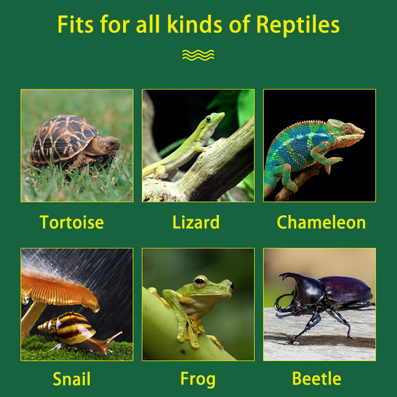 4L Reptile Terrariums Humidifi - Terrarium Fogger Ultrasonic 评论和价格
