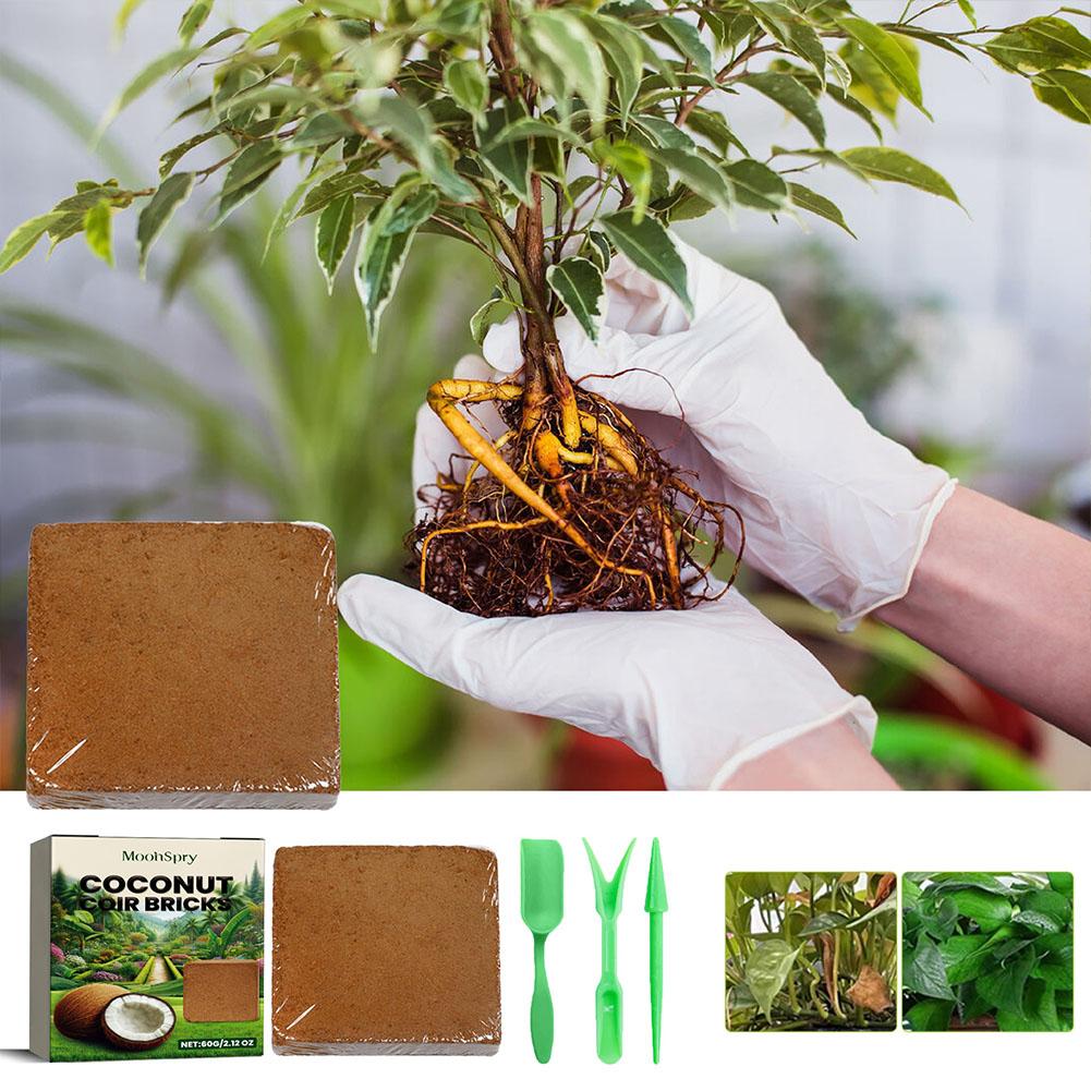 Reptile Coconut Soil Coir Pres - Substrate Coconut Fiber 评论和价格