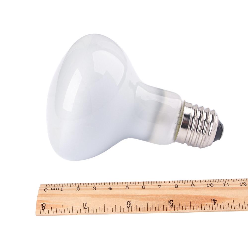 Lizard Heater Temperature Cont - Basking Bulb Halogen 评论和价格