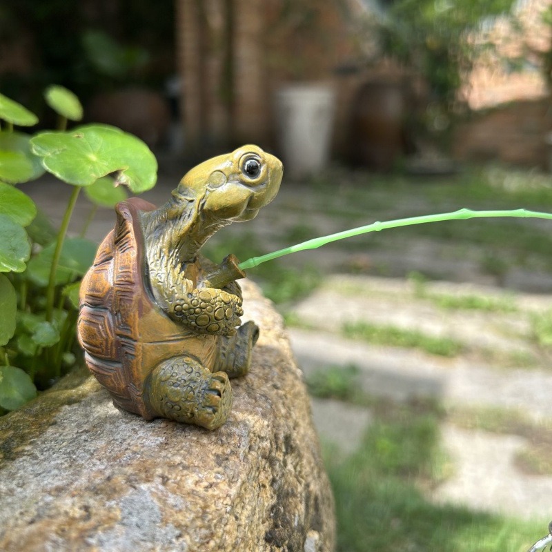 Turtle fishing fish tank aquar - Water Dish Reptile 评论和价格