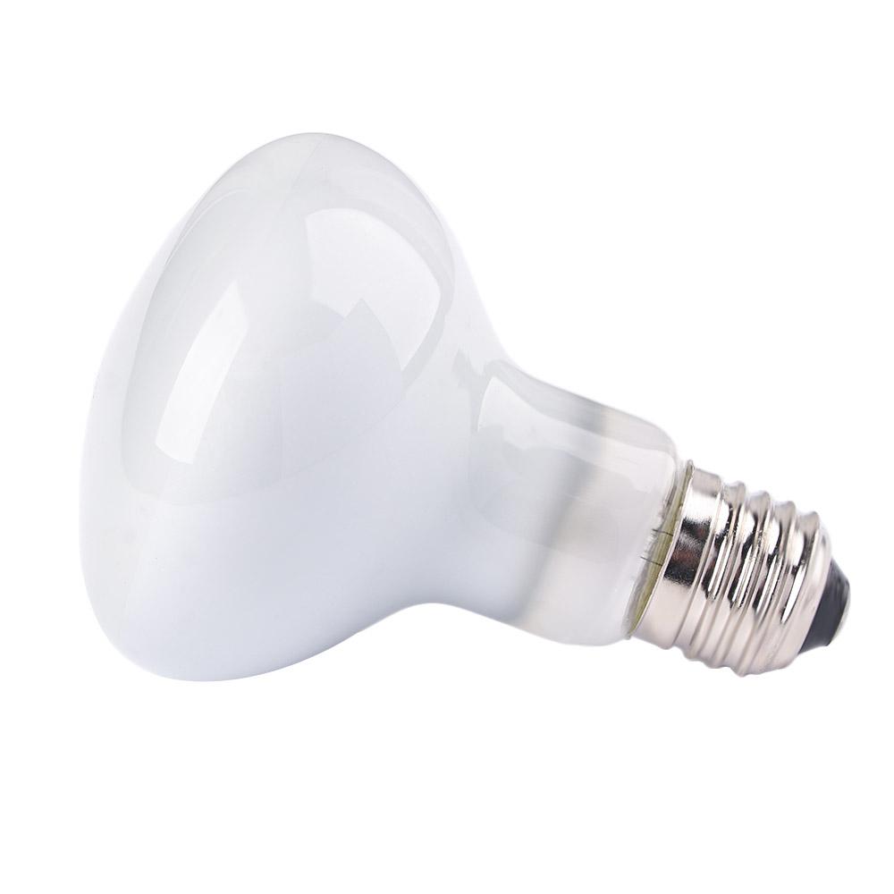 Lizard Temperature Controller  - Basking Bulb Halogen 评论和价格