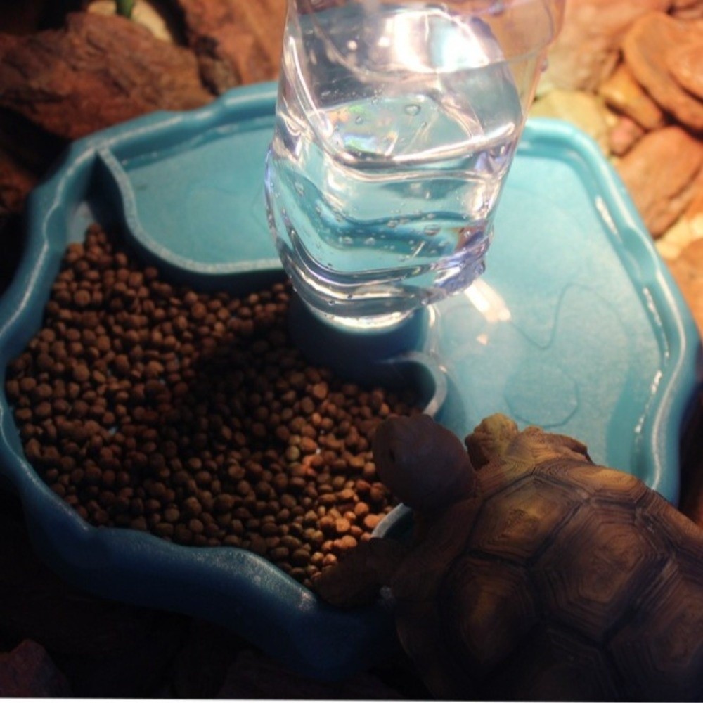 New Removable Reptile Feeder E - Water Dish Reptile 评论和价格