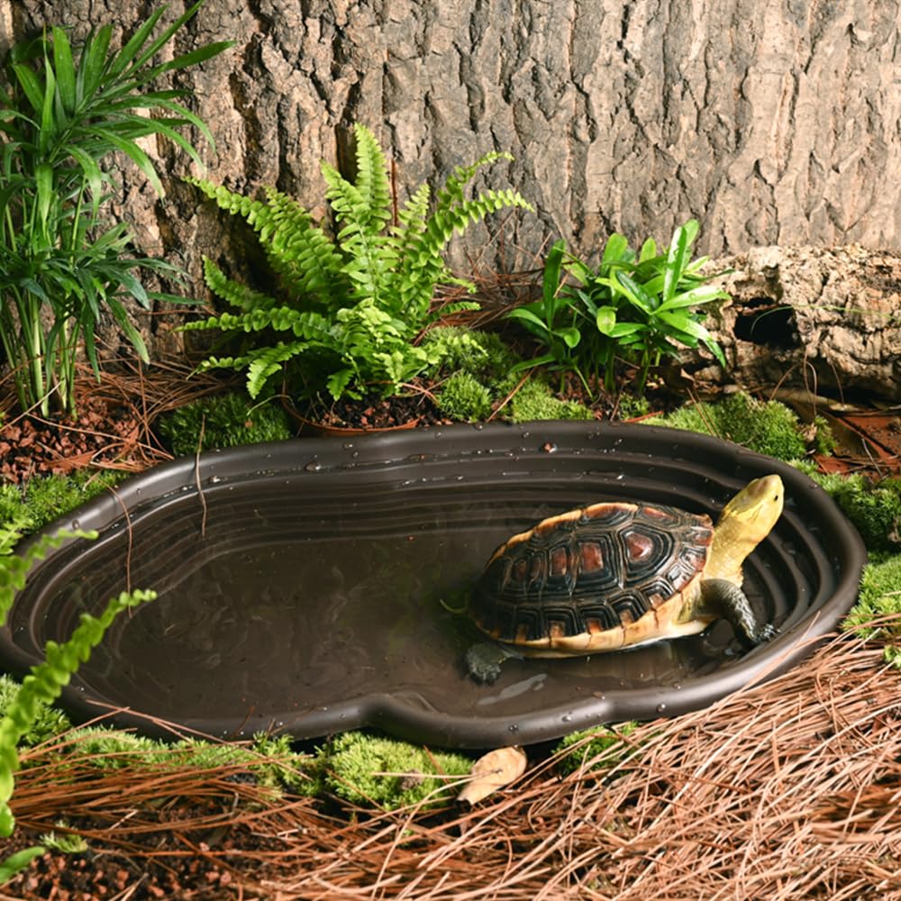 Reptile Bathing Dish Amphibian - Water Dish Reptile 评论和价格