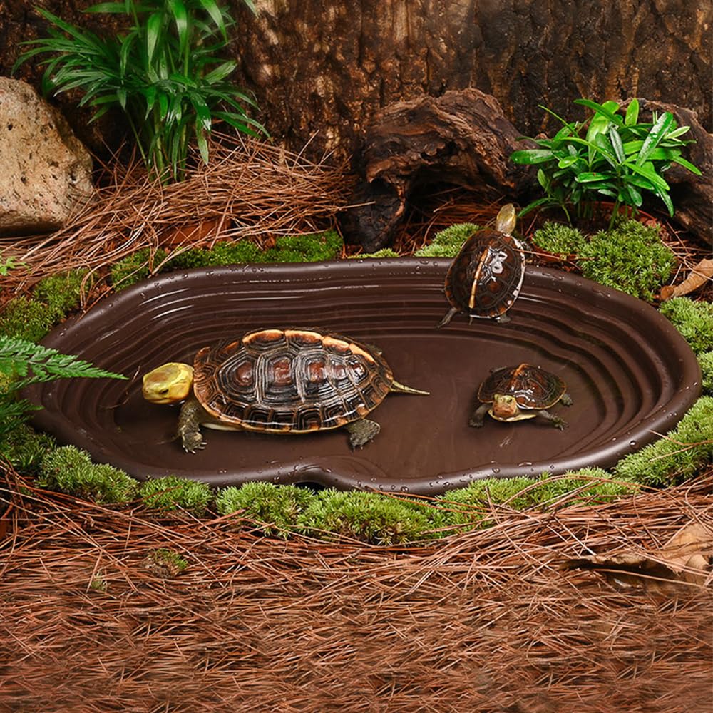 Reptile Bathing Dish Amphibian - Water Dish Reptile 评论和价格