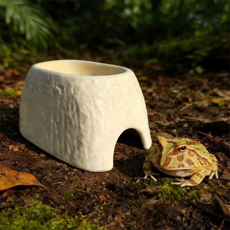 Ceramic Leopard Print Humid Hi - Hide Cave Ceramic 评论和价格
