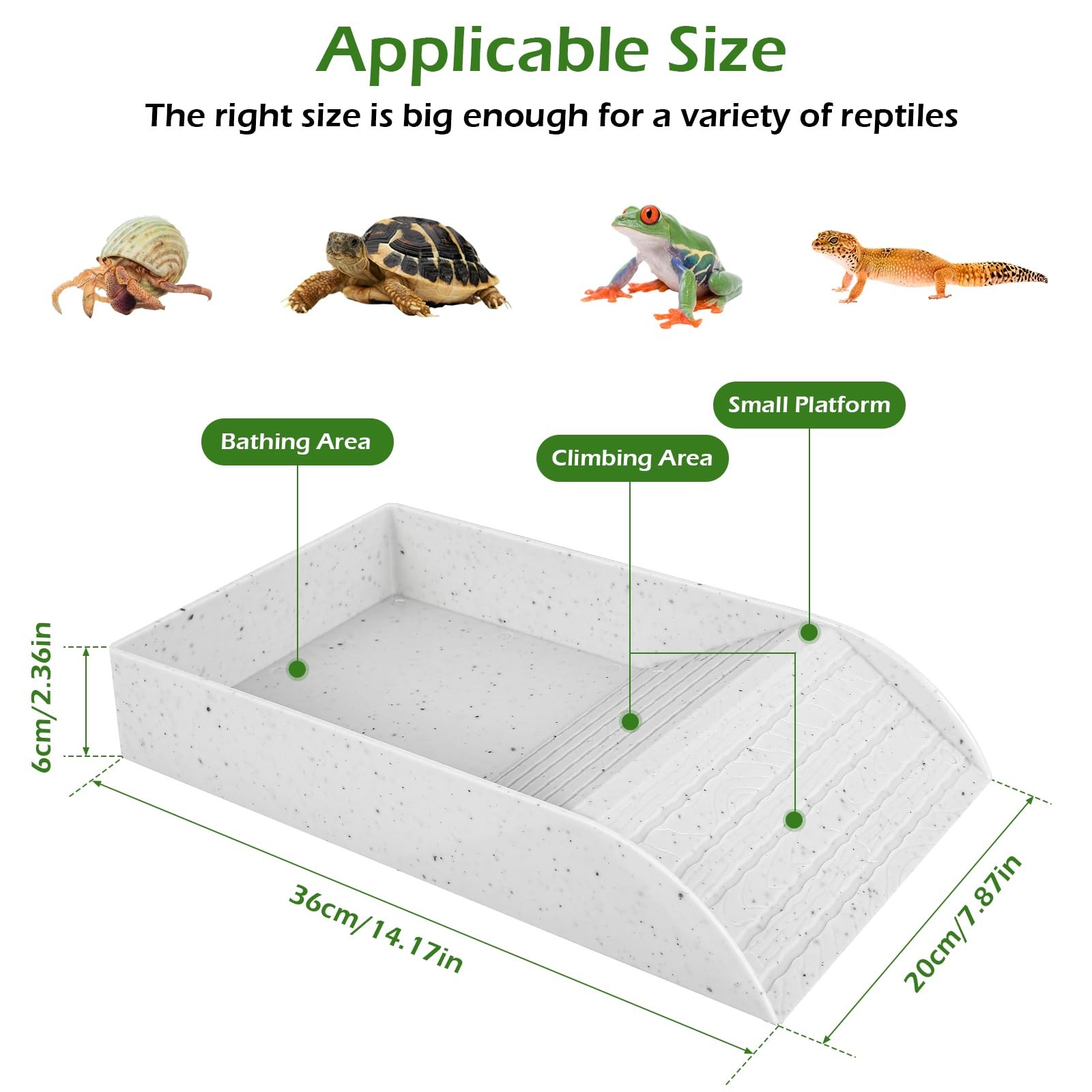 Anti Slip Tortoise Bath Dish T - Water Dish Reptile 评论和价格