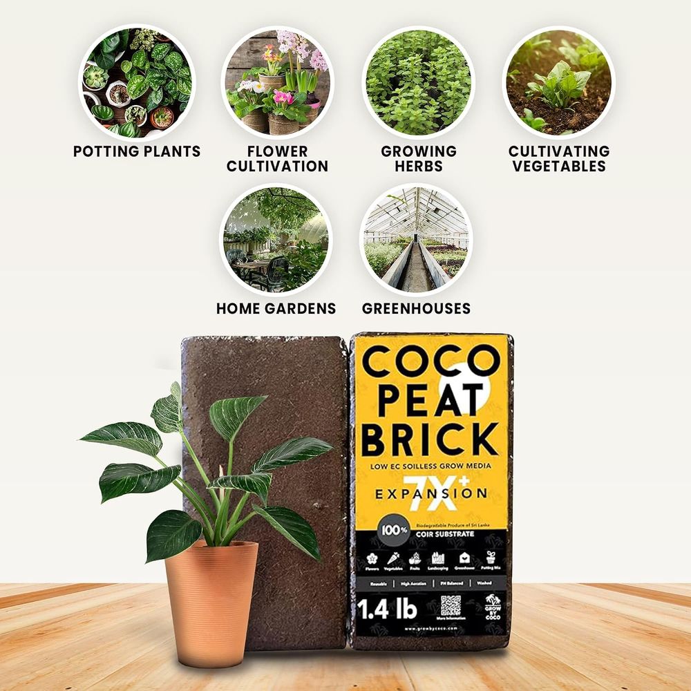 650g Brick - Premium Organic C - Substrate Coconut Fiber 评论和价格