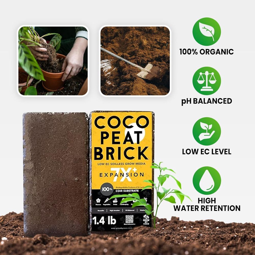 650g Brick - Premium Organic C - Substrate Coconut Fiber 评论和价格