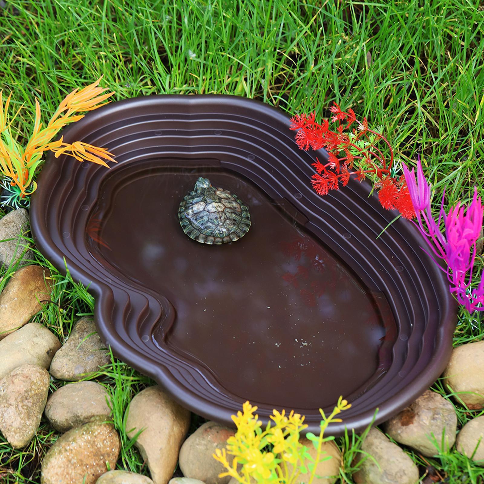 Reptile Bathing Dish Tortoise  - Water Dish Reptile 评论和价格