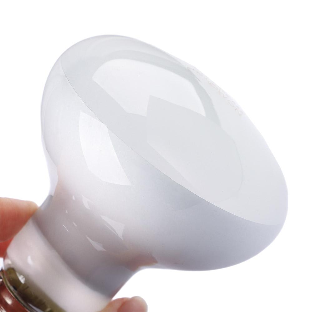 Turtle Heater Temperature Cont - Basking Bulb Halogen 评论和价格
