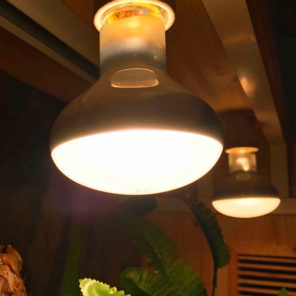 Turtle Heater Temperature Cont - Basking Bulb Halogen 评论和价格