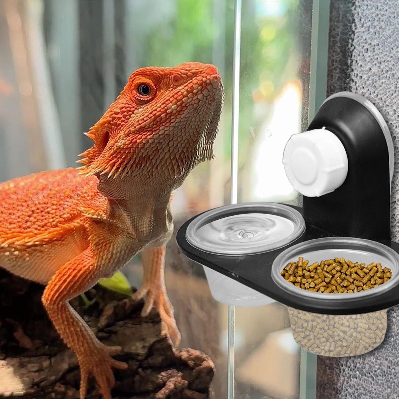 Gecko Food Dish Gecko Water Di - Water Dish Reptile 评论和价格
