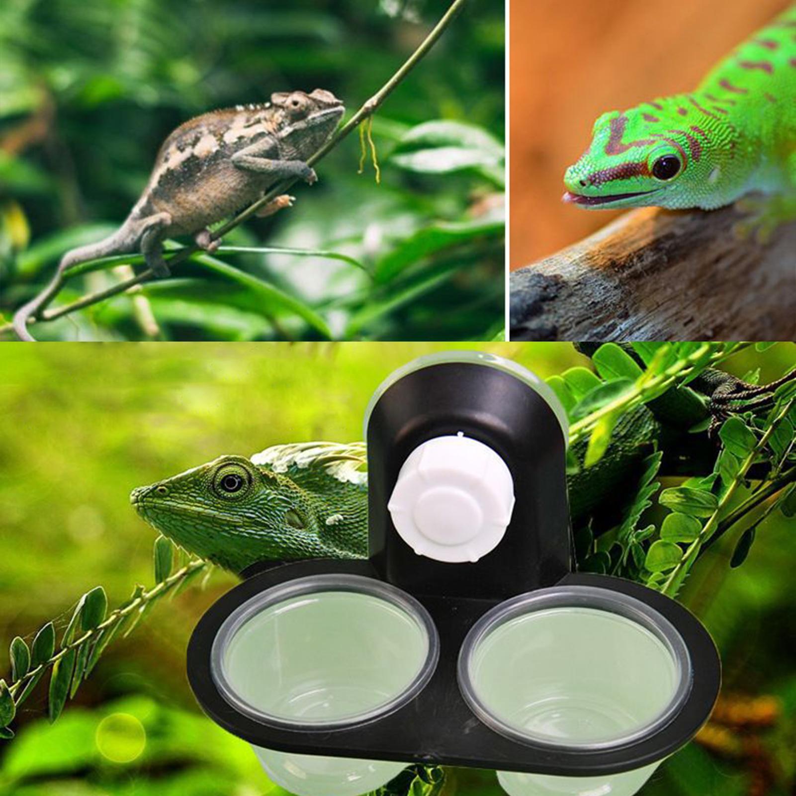 Gecko Food Dish Gecko Water Di - Water Dish Reptile 评论和价格