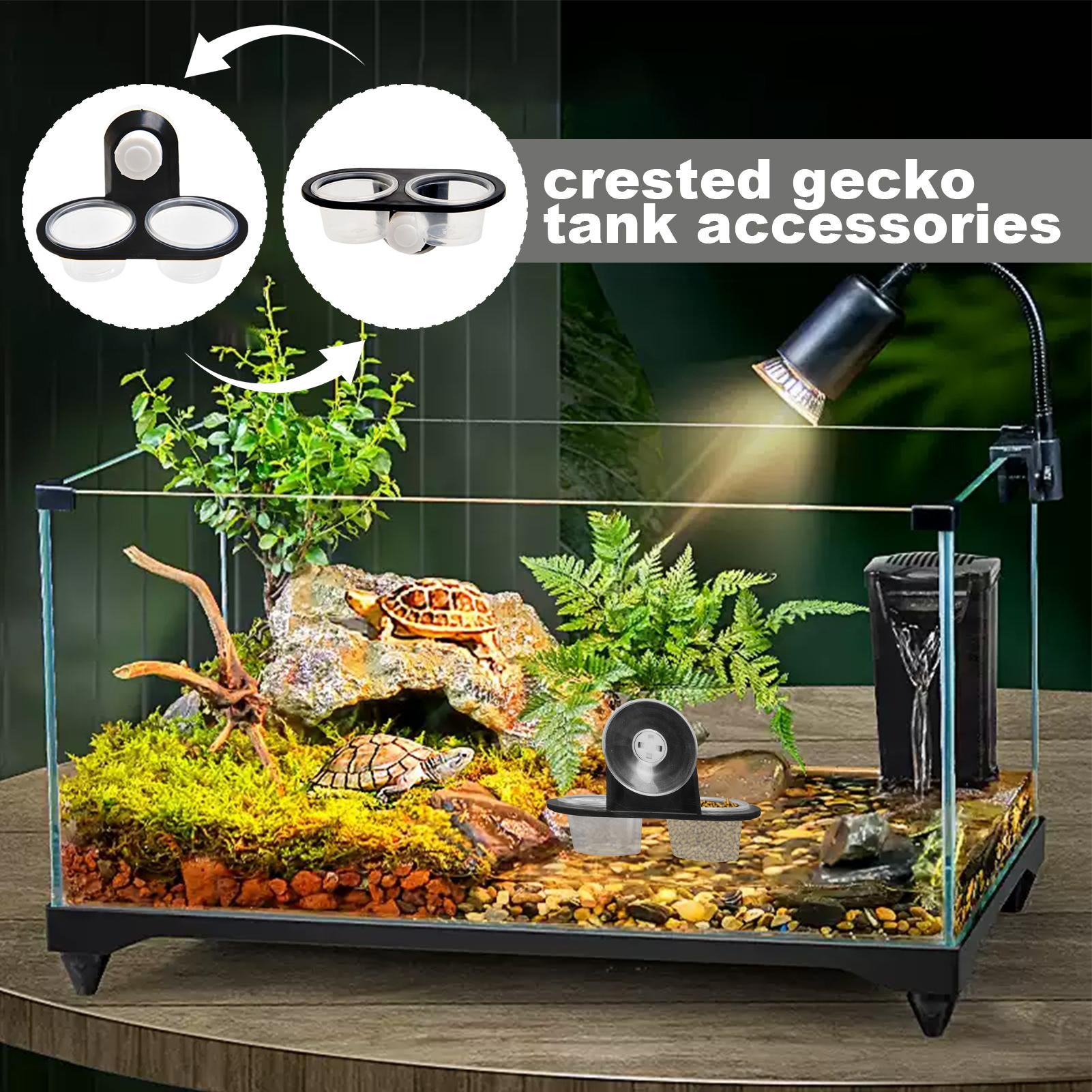 Gecko Food Dish Gecko Water Di - Water Dish Reptile 评论和价格