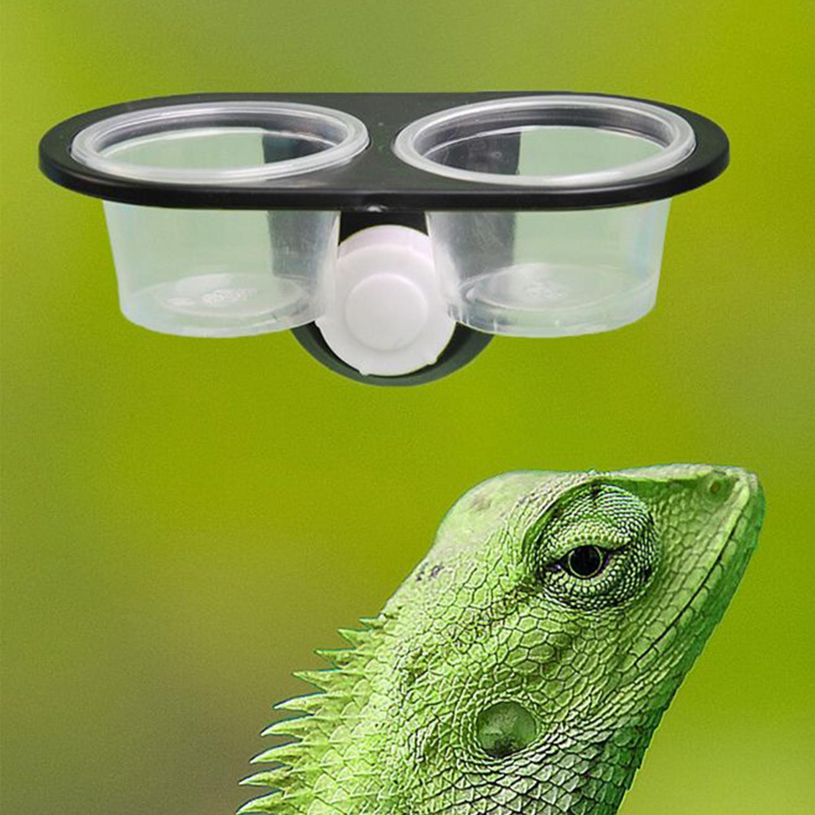 Gecko Food Dish Gecko Feeding  - Water Dish Reptile 评论和价格