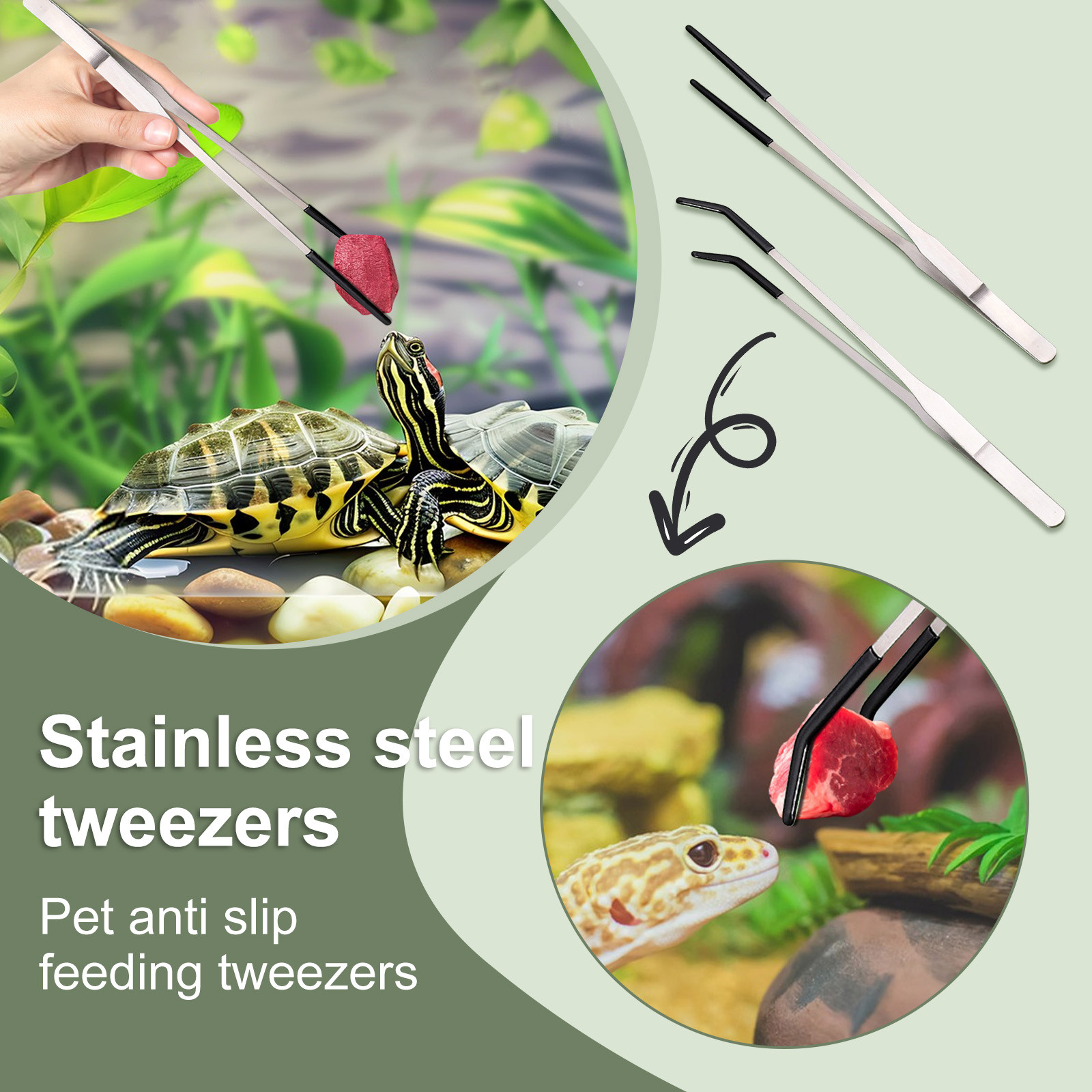 Stainless Steel Reptile Feedin - Feeding Tong Stainless 评论和价格