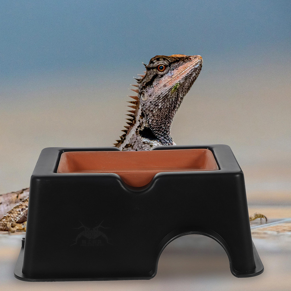 2Pcs Humid Leopard Gecko Shelt - Hide Cave Ceramic 评论和价格