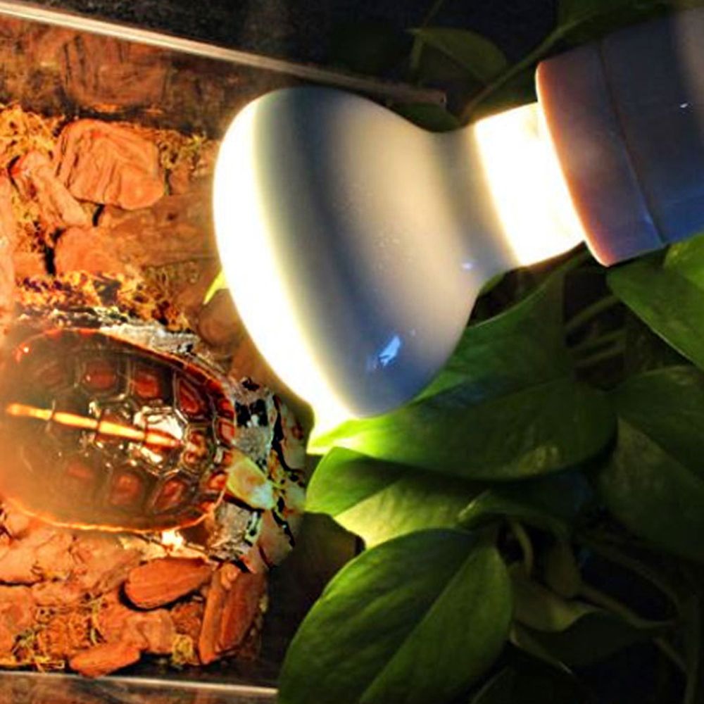 Turtle Heater Temperature Cont - Basking Bulb Halogen 评论和价格
