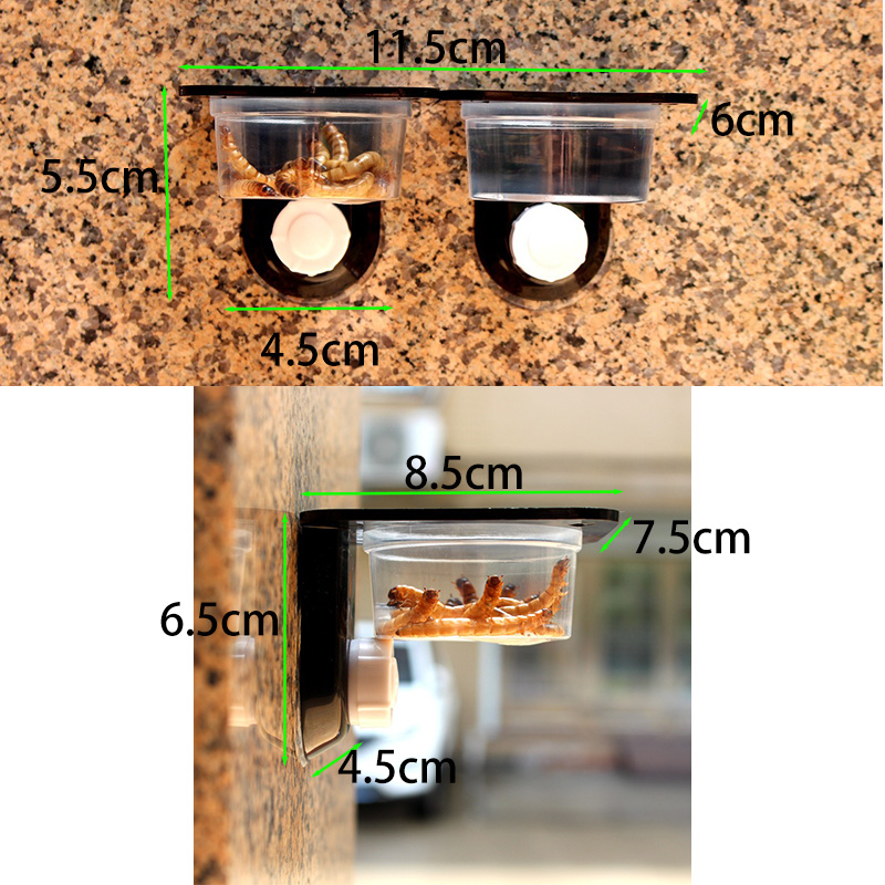 Reptile Tank Accessories Insec - Water Dish Reptile 评论和价格