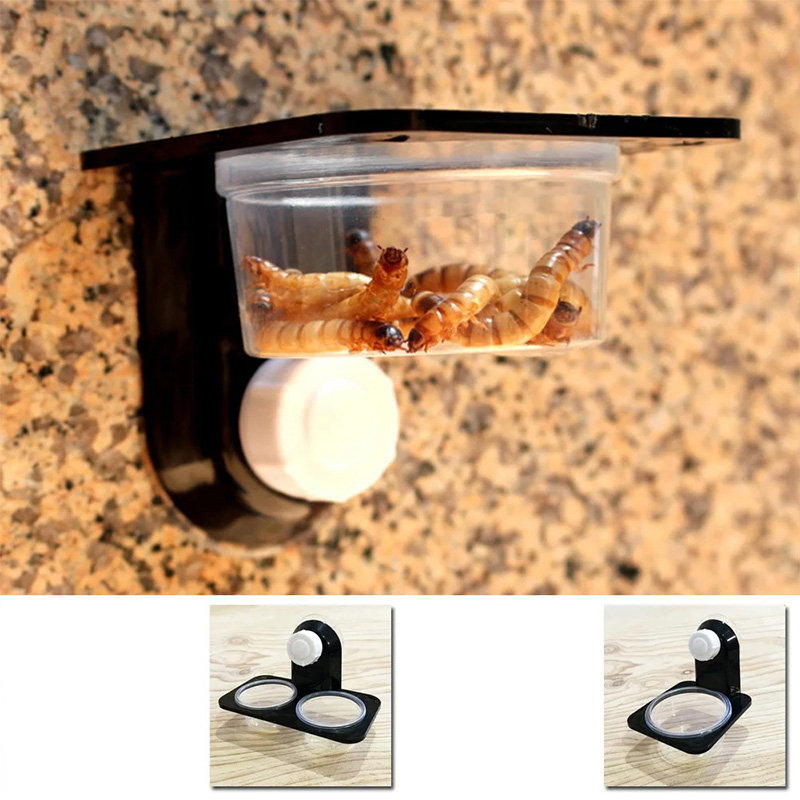 Reptile Tank Accessories Insec - Water Dish Reptile 评论和价格