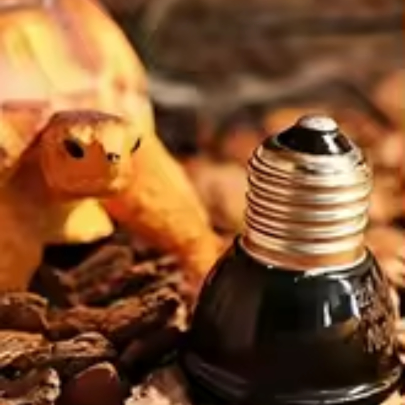 Reptile Ceramic Heat Emitter M - Ceramic Heat Emitter 评论和价格