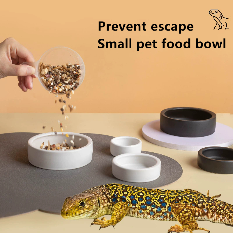 HOT! Reptile Food Bowl Anti-Es - Water Dish Reptile 评论和价格