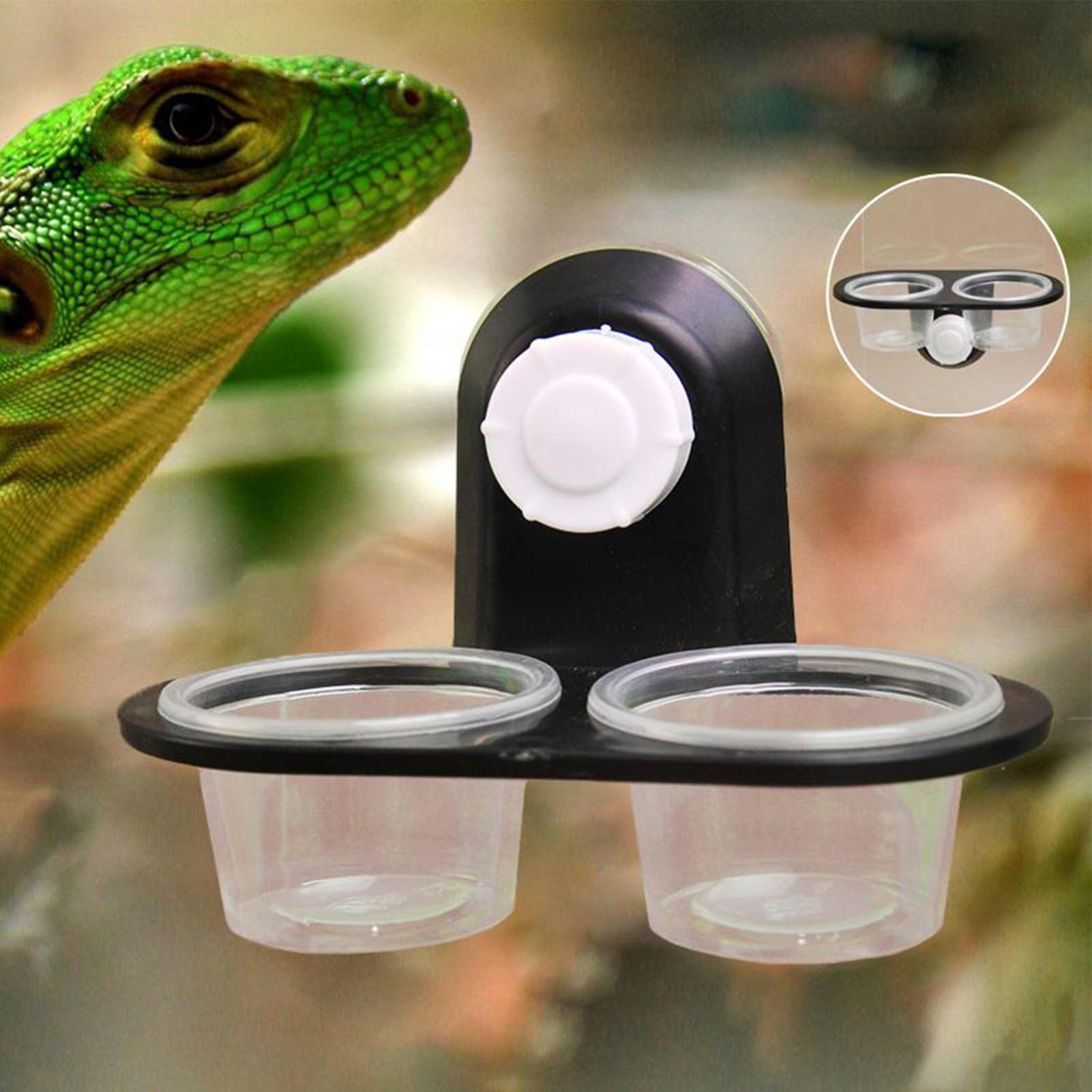 Gecko Feeder Ledge with Detach - Water Dish Reptile 评论和价格