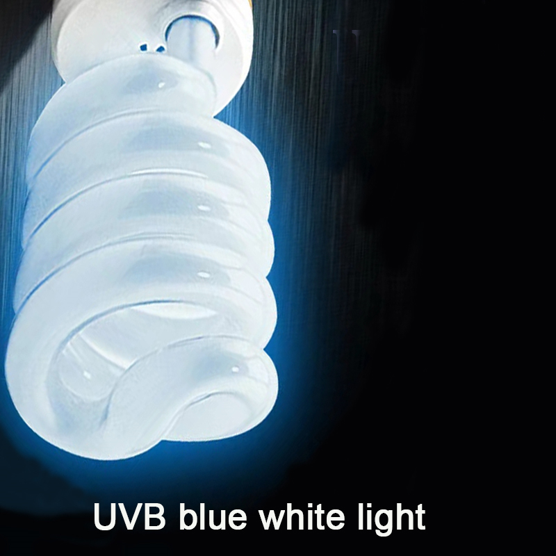 E27 13W/26W Reptile Uvb Lamp   - Calcium Powder Reptile 评论和价格