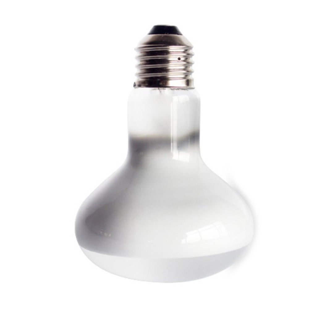 Turtle Temperature Controller  - Basking Bulb Halogen 评论和价格