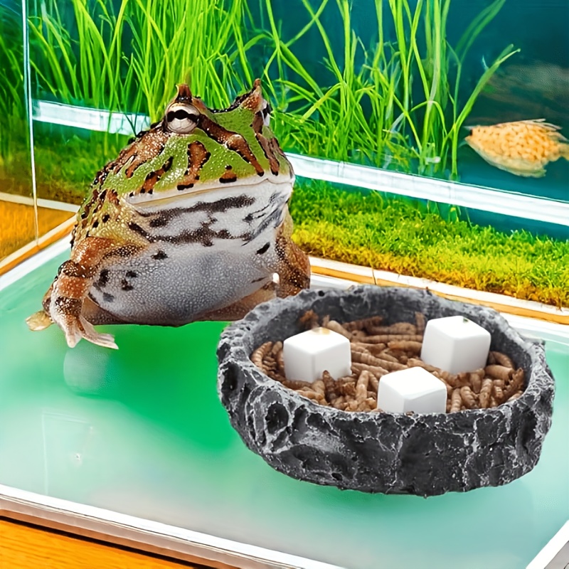 6Pcs Fish Tank Calcium Block M - Calcium Powder Reptile 评论和价格