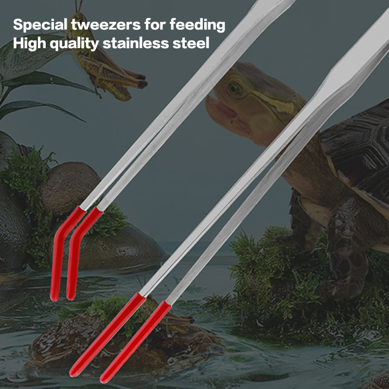 Stainless Steel Reptile Feedin - Feeding Tong Stainless 评论和价格