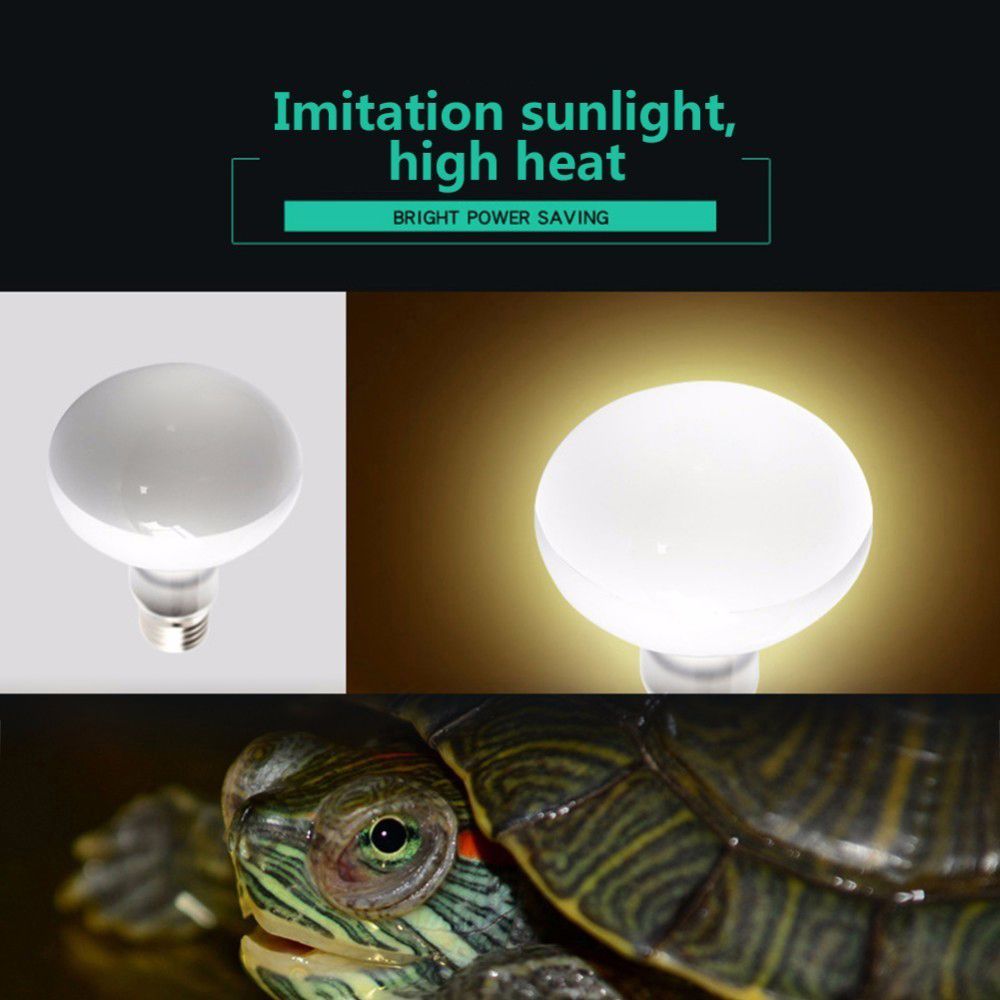 Amphibians Heat Lamp Temperatu - Basking Bulb Halogen 评论和价格