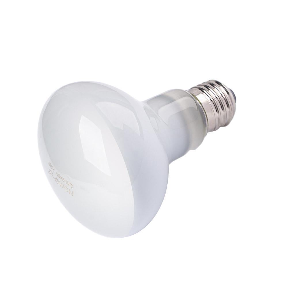 Amphibians Heat Lamp Temperatu - Basking Bulb Halogen 评论和价格