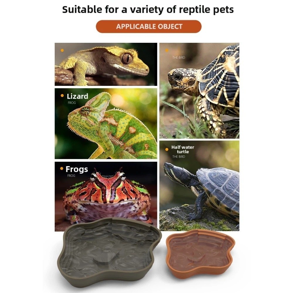 New Plastic Turtle Water Basin - Water Dish Reptile 评论和价格