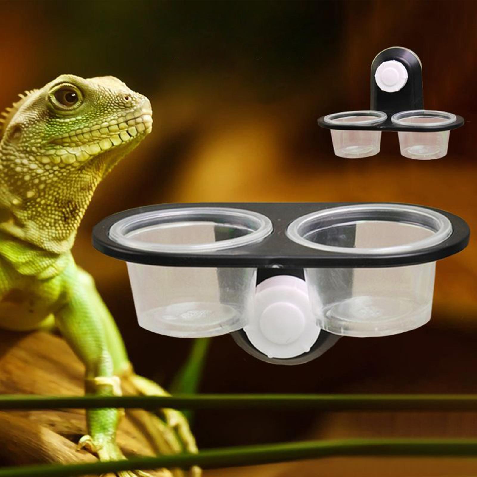 Gecko Food Dish Water Dish for - Water Dish Reptile 评论和价格