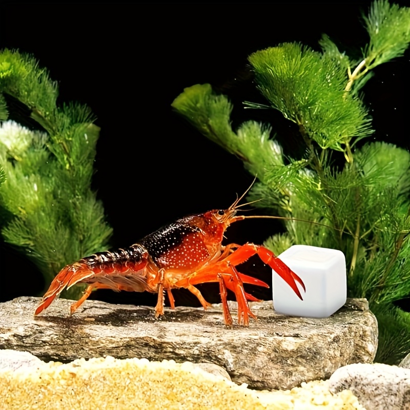 6 Pcs Fish Tank Calcium Block  - Calcium Powder Reptile 评论和价格