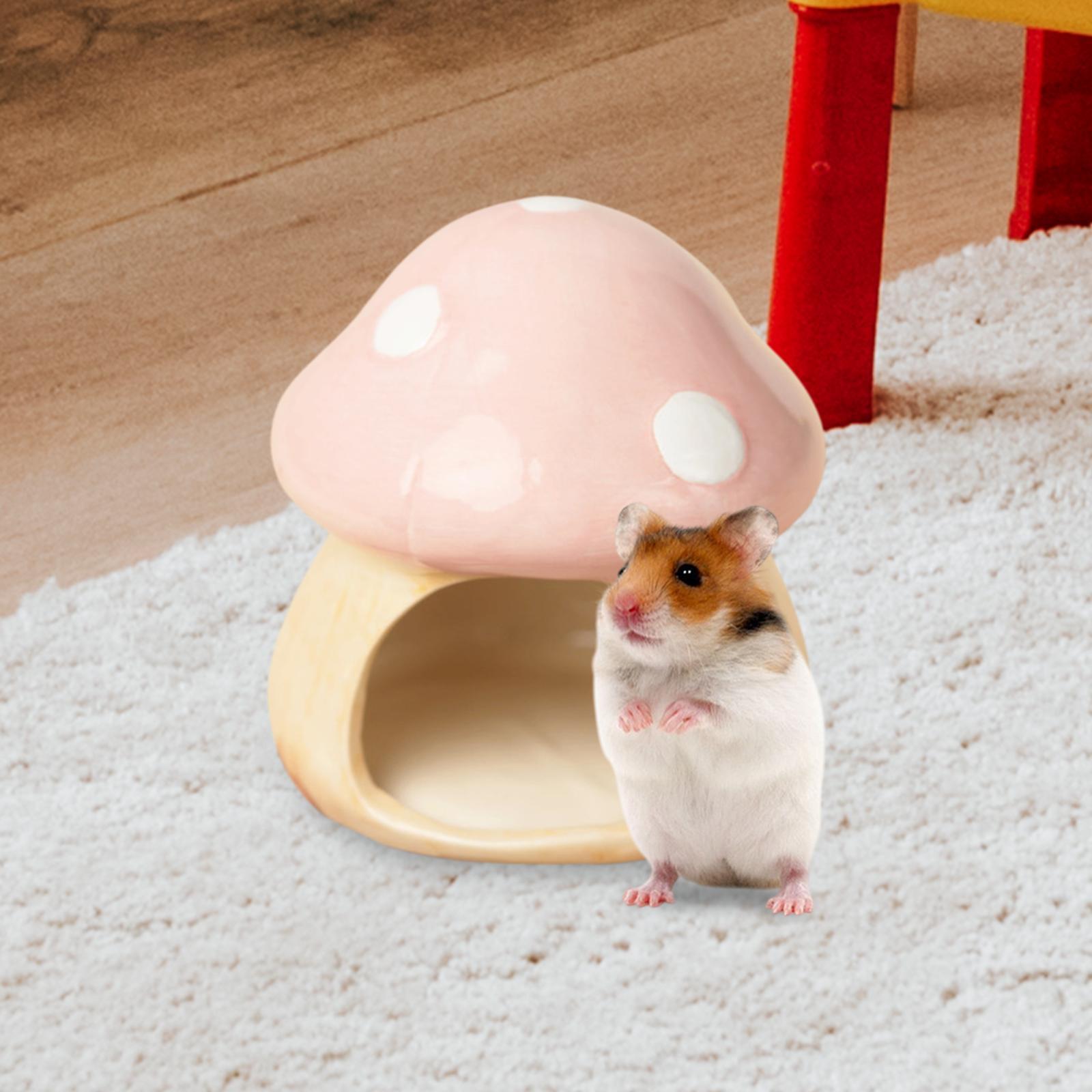 Ceramic Mushroom Hamster Hideo - Hide Cave Ceramic 评论和价格