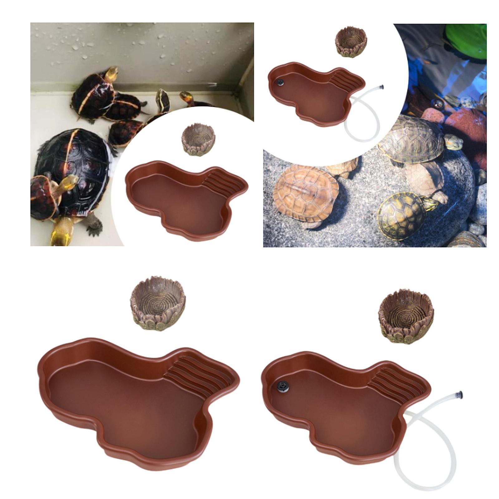 Reptile Feeding Dish Reptile B - Water Dish Reptile 评论和价格